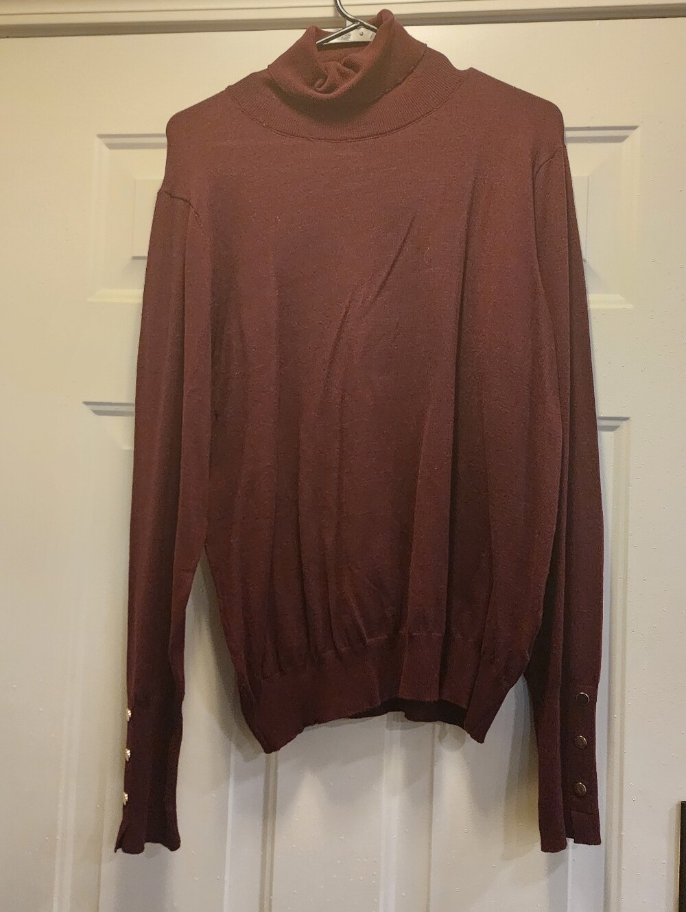 Women Turtleneck Sweater in Burgundy